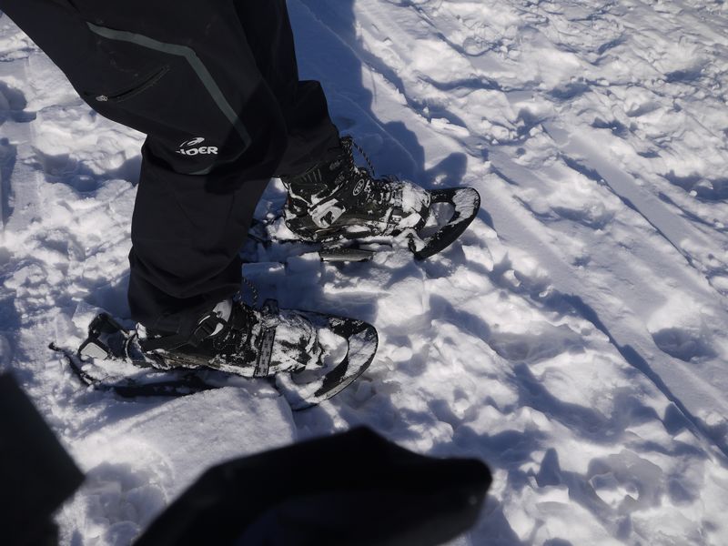 Chaussures de randonnées Mammut Runbold Advanced High GTX® Men en action en hiver -raquette