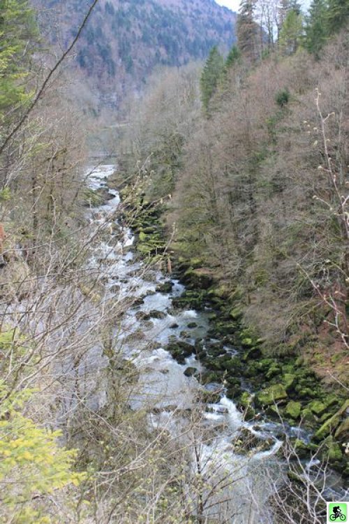 Rivière (doubs) gorges