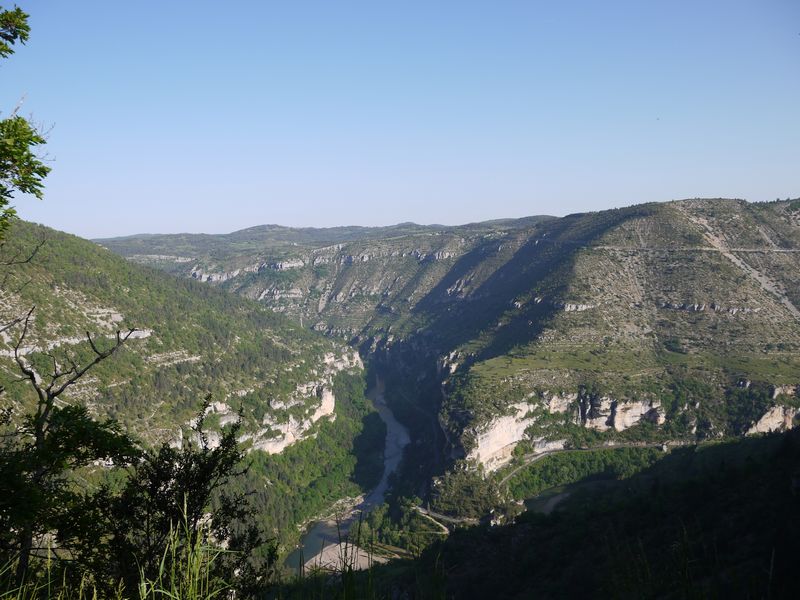 Gorges du Tarn depuis le col de Coperlac