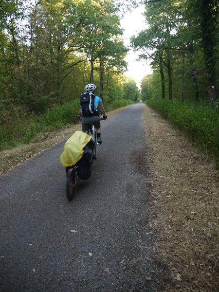 Vélo dans la forêt de la Hardt, Alsace
