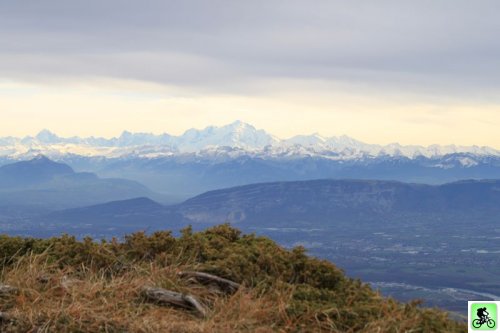 Mont Blanc vue du Reculet (Haut Jura)