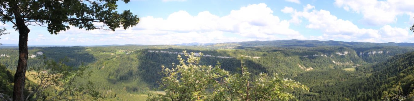Panorama dans le Jura