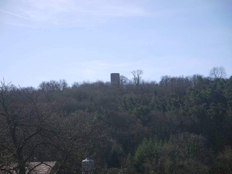 La tour de montferrand le château dans la forêt