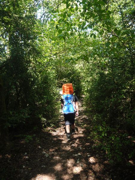 Balade à pied en forêt avec sac à dos porte bébé vaude